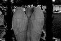 Closeup of the back of an angel sculpture at a graveyard Royalty Free Stock Photo