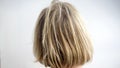 Closeup of back of head with uncombed blond hair