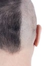 Closeup of the Back of a Man`s Head Half Shaven