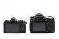 Back View of Mirrorless Camera and DSLR Camera Isolated on White