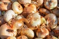 Background of a Pile of Cipollini Onions Royalty Free Stock Photo