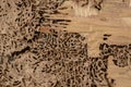 Closeup background and texture of nest termite at wooden wall Royalty Free Stock Photo