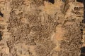 Closeup background and texture of nest termite at wooden wall Royalty Free Stock Photo