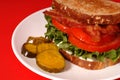 Closeup of a bacon, lettuce and tomato sandwich with pickles, re