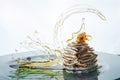 closeup baked exquisite swan-shaped dessert against white