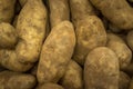 Closeup Baking Potatoes