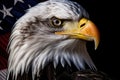 closeup bald eagle and American flag