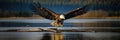 Closeup of a bald eagle taking flight Royalty Free Stock Photo