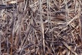 Closeup bale with compressed straw background.