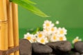 Closeup of a bamboo leaf and a bunch of daisies and stones in the background Royalty Free Stock Photo