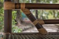 Bamboo Texture