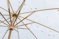 Closeup bamboo umbrella Asian style sunshade . Royalty Free Stock Photo