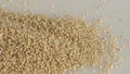 Closeup of banyard millet, a healthy grain, showcasing the small round shape pale grains with a golden hue