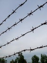 Closeup of the barbed wire stretched in the twilight time Royalty Free Stock Photo