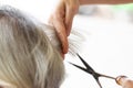 Closeup barber with Scissors cutting hair