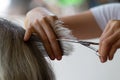 Closeup barber with Scissors cutting hair