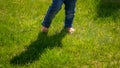 Closeup of barefoot baby in jeans walking on green grass lawn. Kids outdoors, children in nature, baby playing outside Royalty Free Stock Photo