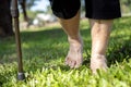 Closeup of barefoot feet,asian senior woman walking barefoot on grass in sunny summer,elderly female people with walking stick, Royalty Free Stock Photo