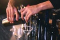 Closeup bartender hand preparing fresh juice cocktail in drinking wine glass with ice at night bar clubbing counter. Occupation