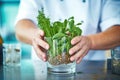 closeup of a bartenders hands muddling herbs in a glass Royalty Free Stock Photo