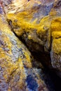 Rock wall covered with yellow lichen Royalty Free Stock Photo
