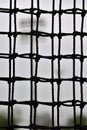 Closeup of a baseball net