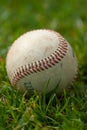 Closeup of a baseball in sitting grass on a field Royalty Free Stock Photo