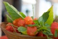 Closeup of basket with fresh physalis fruit Royalty Free Stock Photo