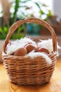 Closeup of a basket with organic chicken eggs, and feathers. Defo