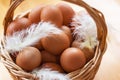 Closeup of a basket with organic chicken eggs and feathers. Defokus in the background. Eggs for easter. Royalty Free Stock Photo