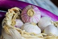 Closeup of basket with white pink whole solo garlic bulbs, blurred purple aubergine background