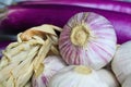 Closeup of basket with white pink whole solo garlic bulbs, blurred purple aubergine background