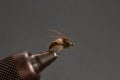 Closeup of a Beadhead Caddis