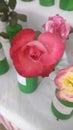 Closeup of a beatiful Red rose