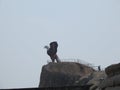 Closeup of beautiful attraction huge statue open wing Eagle or Jatayu Park at Lepakshi above the rock