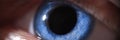 Closeup of beautiful bright blue human eye Royalty Free Stock Photo