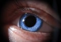 Closeup of beautiful bright blue human eye Royalty Free Stock Photo