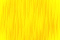 Closeup of beautiful bright yellow fabric