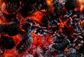 Closeup beautiful burning camp fire with pine cones Royalty Free Stock Photo