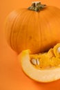 Closeup on a beautiful composition of pumpkin in warm vibrant color