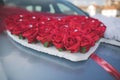 Closeup of a beautiful flower decoration on a wedding car Royalty Free Stock Photo