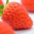 beautiful fresh red strawberry, texture skin of fruit