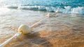 Closeup beautiful image of long line of floating buoys connected by rope floating in sea and lying on sandy beach Royalty Free Stock Photo