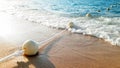 Closeup beautiful image of long line of floating buoys connected by rope floating in sea and lying on sandy beach Royalty Free Stock Photo