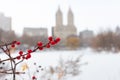 Red Berries on a Plant along the Frozen Lake with Snow at Central Park during the Winter in New York City with the Upper West Side Royalty Free Stock Photo