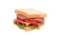 Closeup of beautiful sandwich. Royalty Free Stock Photo