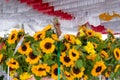 Closeup of beautiful sunflower decorations of the shack for the Candomble religion