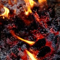 Closeup beautiful tender flame of burning camp fire with pine cones Royalty Free Stock Photo