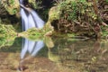 Closeup of beautiful Vaioaga waterfall Royalty Free Stock Photo
