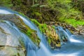 Closeup beautiful waterfall Royalty Free Stock Photo